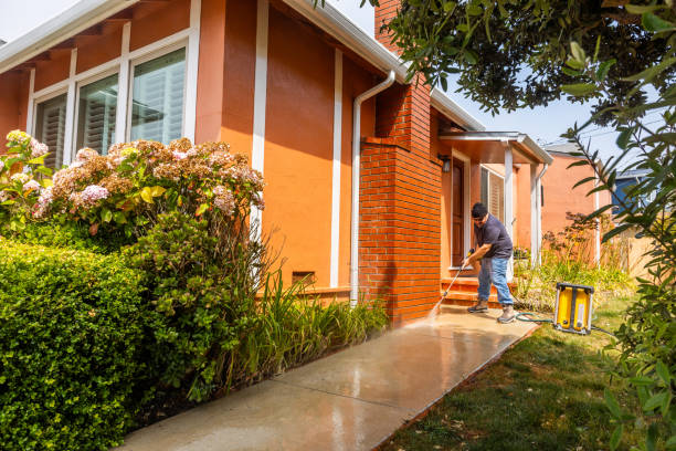 Best Roof Pressure Washing  in Perry, LA