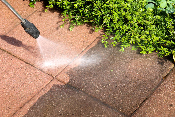 Best House Pressure Washing  in Perry, LA